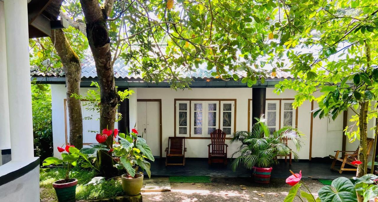 Drongo Place Диквела Екстериор снимка